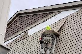 Best Aluminum Siding Installation  in Hoer, OK